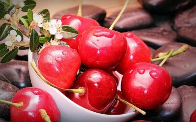 Cherry (Prunus cerasus, Prunus avium)